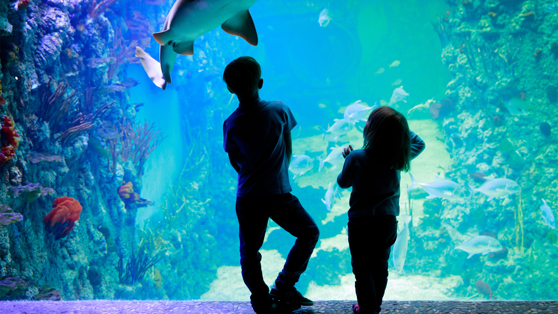 Markets – Casting & Embedment